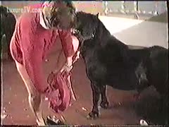 A lady fucks a horse and sucks.